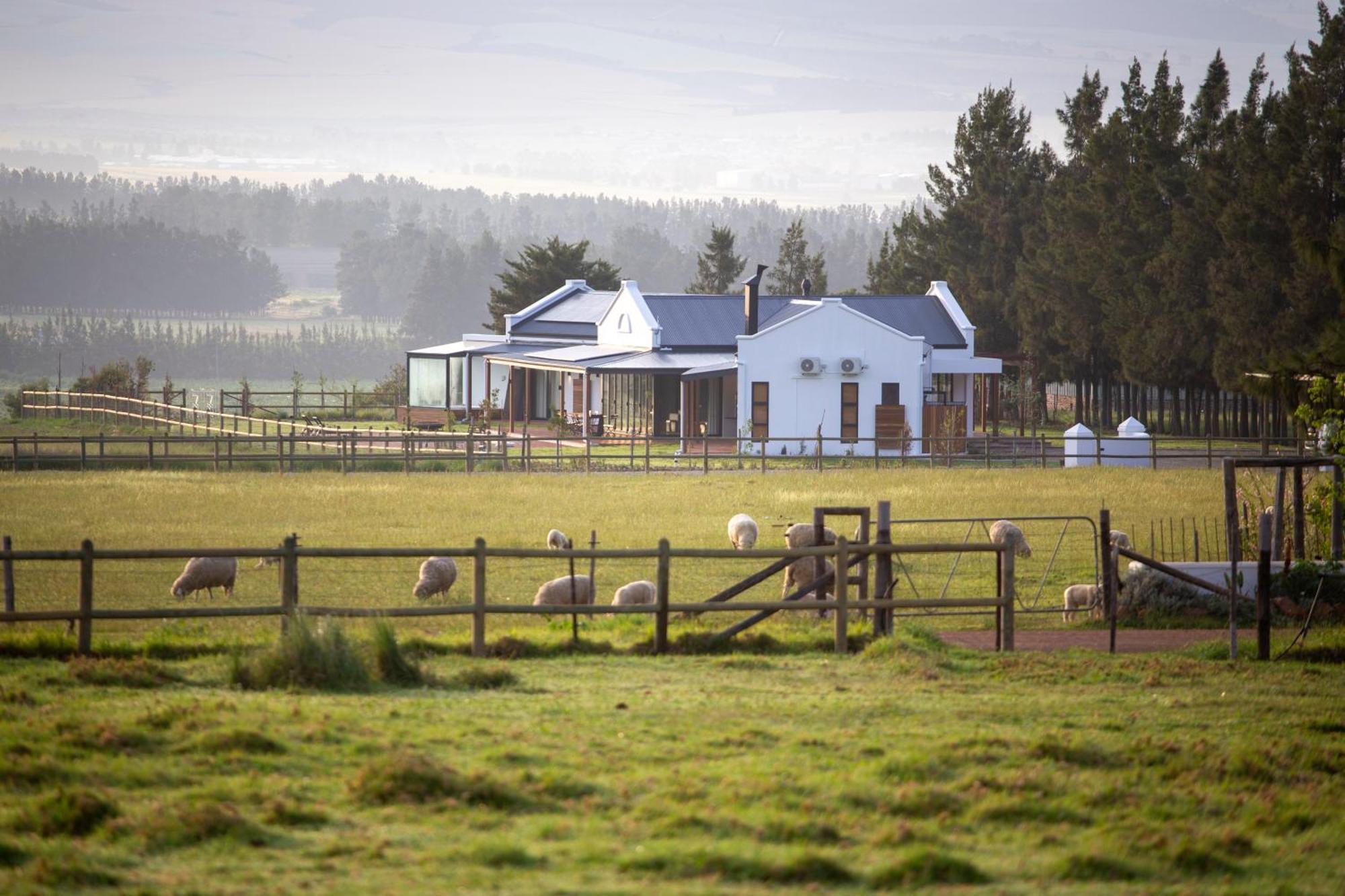 Raptor Rise Tulbagh Ngoại thất bức ảnh